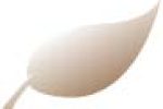 Blatt klein 72
